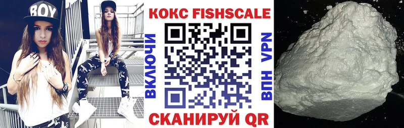 Кокаин Fish Scale  закладки  Цивильск 