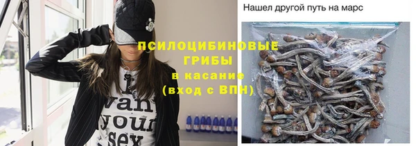 не бодяженный Магас